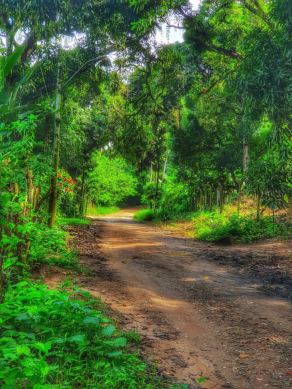 Onde fica Área de Proteção Ambiental do Catolé e Fernão Velho: localização, administração e dados do território