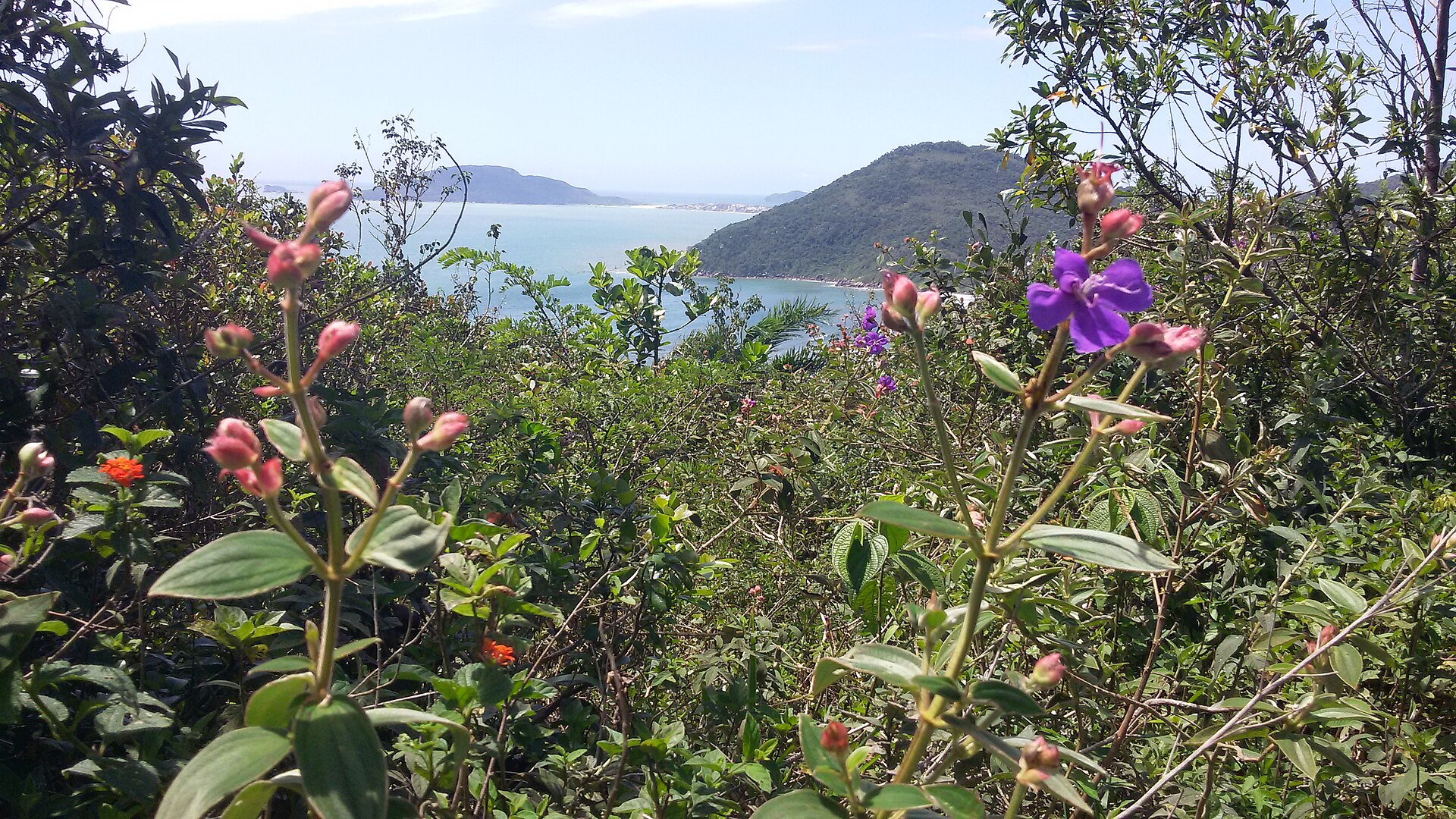 Imagem de referência de Área de Proteção Ambiental do Entorno Costeiro, descrito nos dados abertos como área de Proteção Ambiental do Entorno Costeiro de nível Estadual, localizado (a) em Florianópolis (SC), Garopaba (SC), Palhoça (SC), Paulo Lopes (SC)