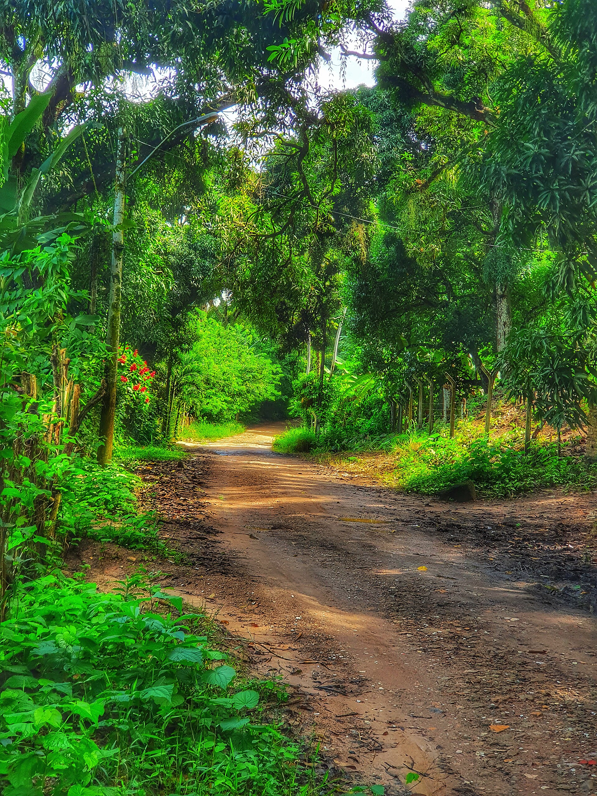 Imagem de referência de Área de Proteção Ambiental do Catolé e Fernão Velho, descrito nos dados abertos como área de Proteção Ambiental do Catolé e Fernão Velho de nível Estadual, localizado (a) em Coqueiro Seco (AL), Maceió (AL), Rio Largo (AL), Santa Luzia do Norte (AL), Satuba (AL)