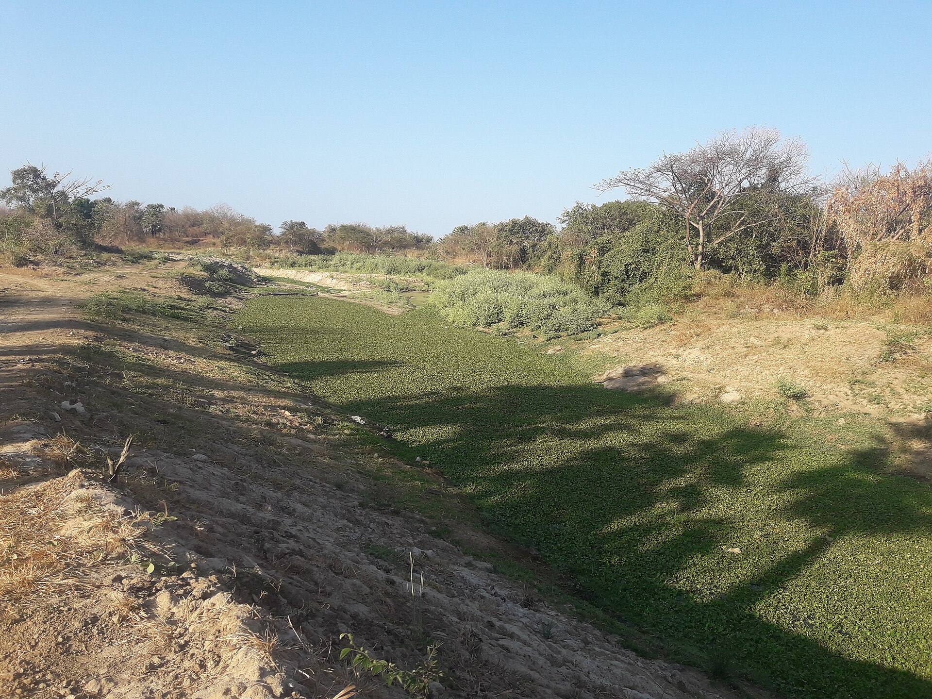 Imagem de referência de Área de Proteção Ambiental do Estuário do Rio Ceará - Rio Maranguapinho, descrito nos dados abertos como área de Proteção Ambiental do Estuário do Rio Ceará - Rio Maranguapinho de nível Estadual, localizado (a) em Caucaia (CE), Fortaleza (CE), Maracanaú (CE), Maranguape (CE)