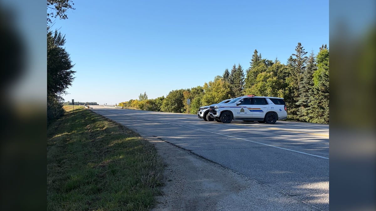 Sanford man killed following Highway 3 crash