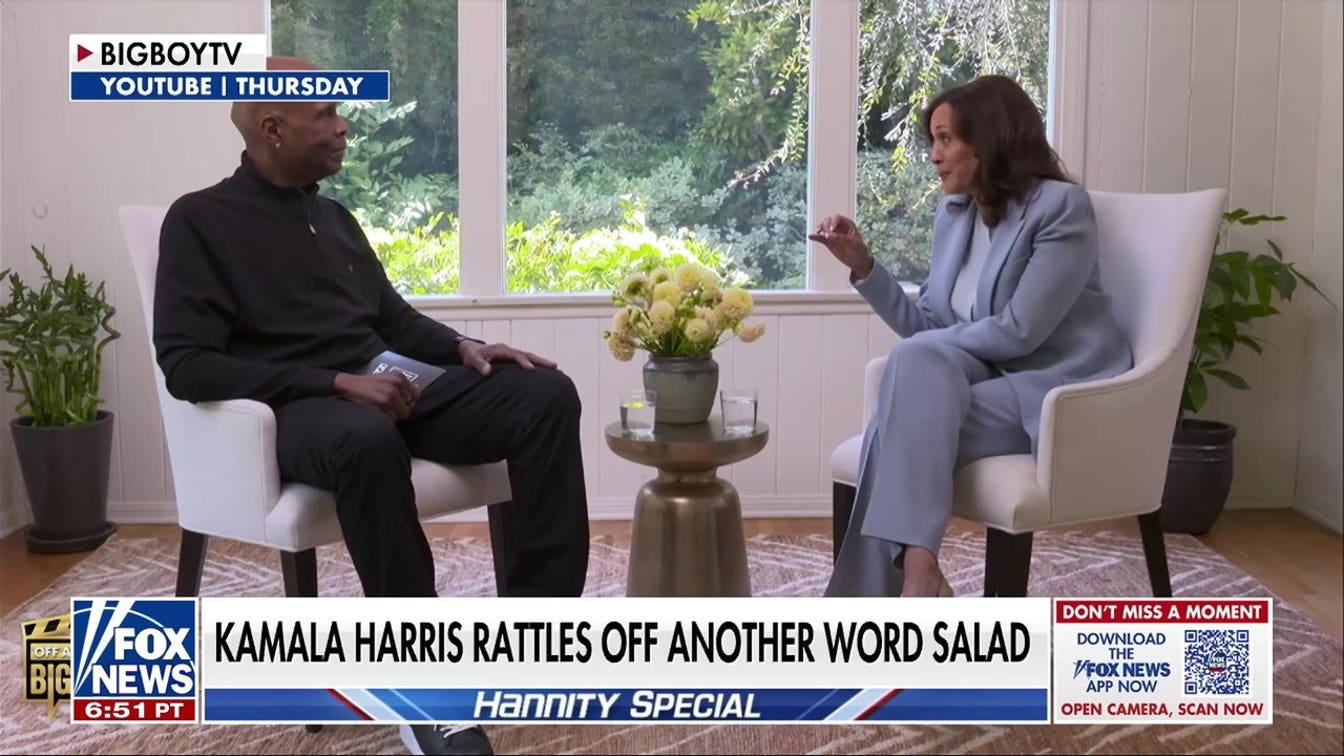 Kamala Harris usa uma analogia com flores para explicar algoritmos de redes sociais enquanto discute IA e eleições intermediárias