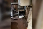 PF resgata homem de 74 anos que trabalhava de graça e vivia com animais