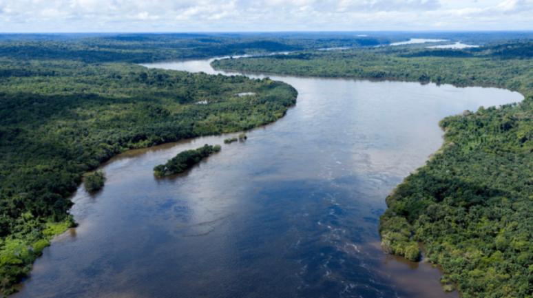 Combate às queimadas e pagamento por serviços: quais as propostas dos candidatos a presidente para o meio ambiente
