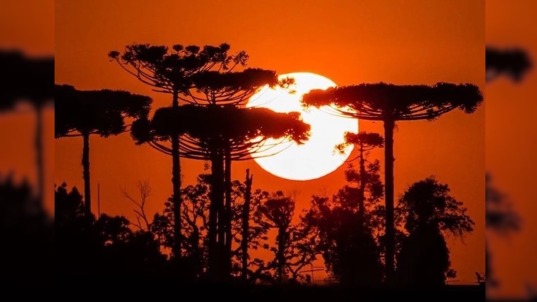 Paraná terá dias de sol e calor antes da chegada de frente fria e novas tempestades; veja previsão do tempo