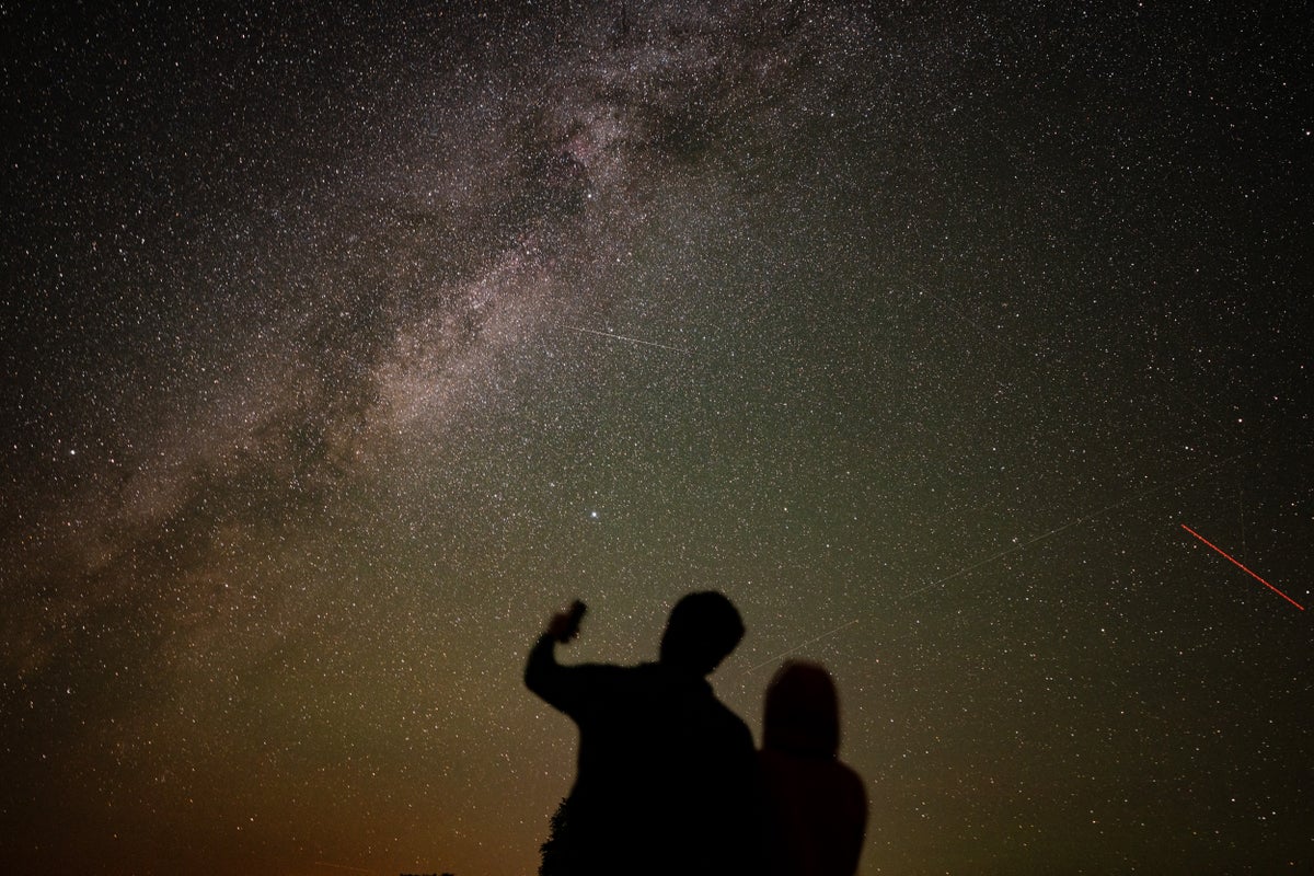 Cientistas revelam nova teoria sobre por que existimos
