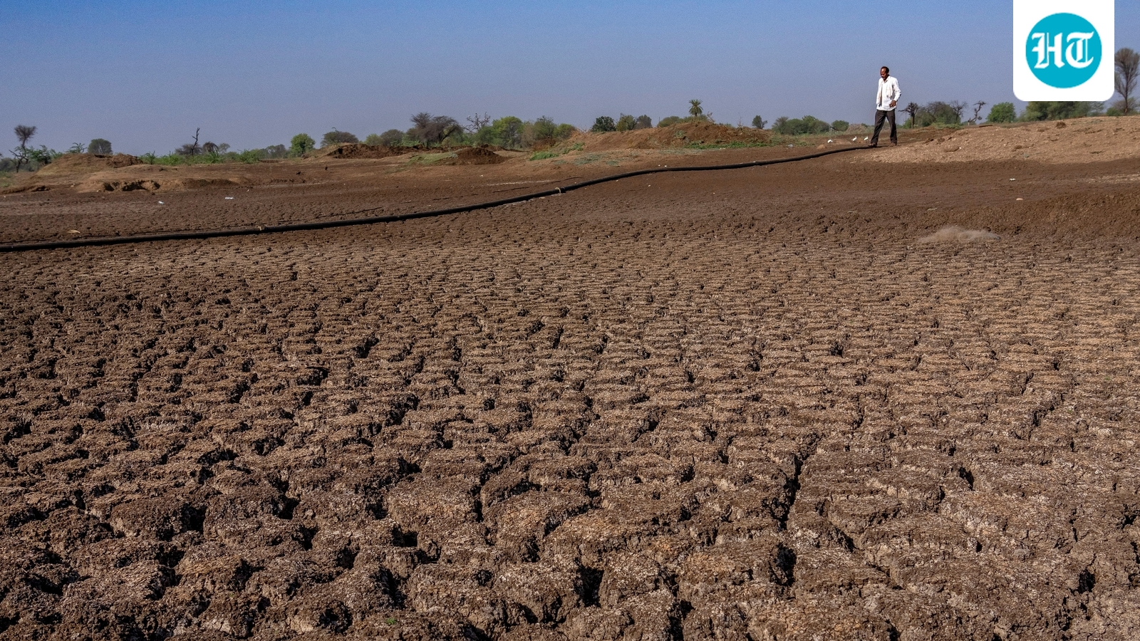 Condições de seca exigem culturas resilientes ao clima para enfrentar a lacuna nutricional da Índia
