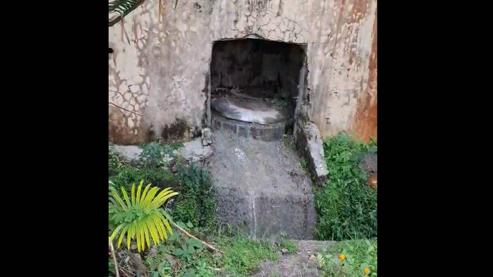 Kinoya resident raises concerns over leaking sewer chamber in compound