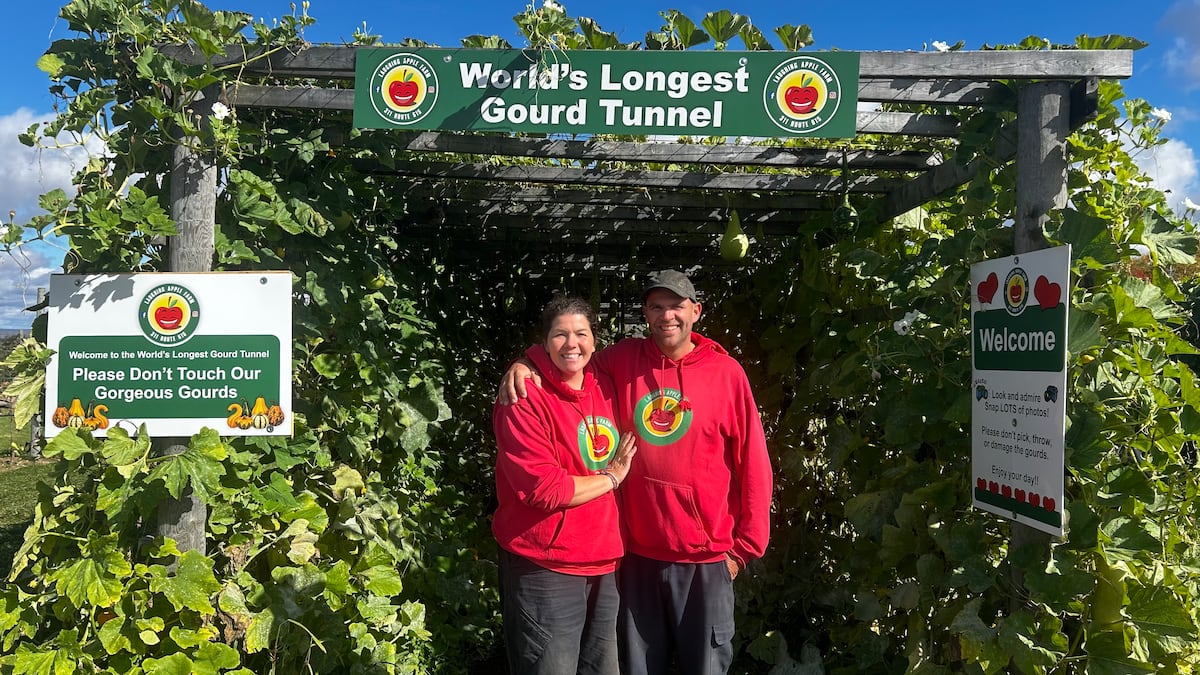 N.B. farmers grow world’s longest gourd tunnel