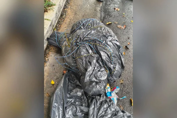 Internet teoriza sobre suposto serial killer de SP após série de homicídios - destaque galeria