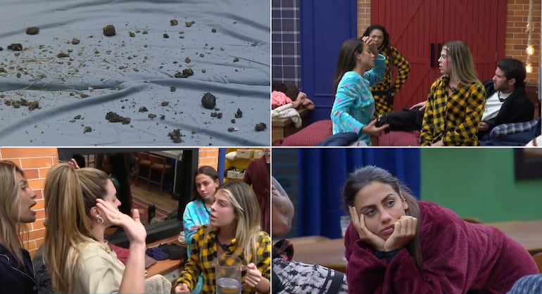 Christina Rocha entra em trend de IA e repercute: ‘Nada se compara ao que a gente sente e vive de verdade’
