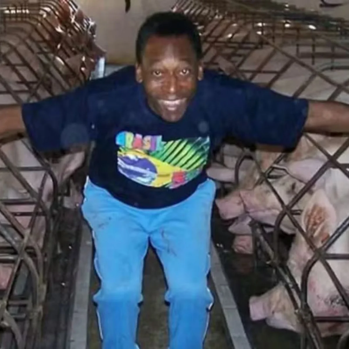 Sítio construído por Pelé foi vendido há mais de um ano. Veja fotos