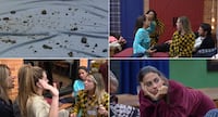 Christina Rocha entra em trend de IA e repercute: ‘Nada se compara ao que a gente sente e vive de verdade’