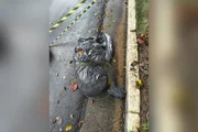 Internet teoriza sobre suposto serial killer de SP após série de homicídios - imagem 3