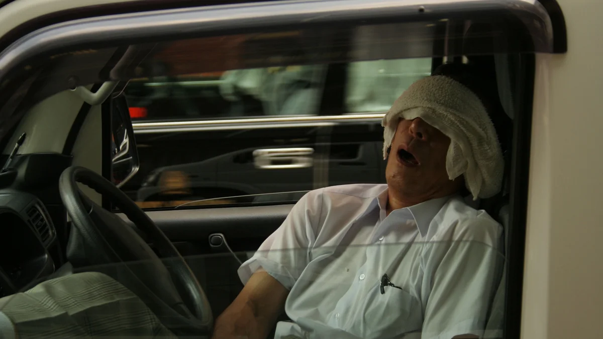 Pessoa dormindo carro volante