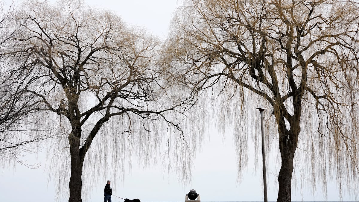 ‘Freezing temperatures’: Environment Canada issues frost advisory for Toronto