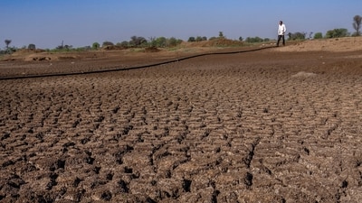 A farmer walks on a lake that has dried up due to drought outside Beed, India (AP Photo/Rafiq Maqbool) (AP)