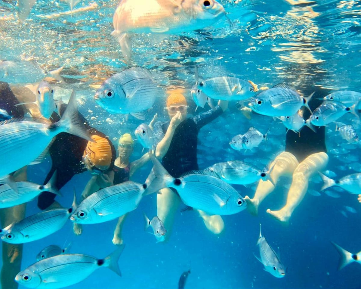 Lutei para aceitar a morte da minha mãe. Depois, nadava no mar e de repente me senti conectado a ela.