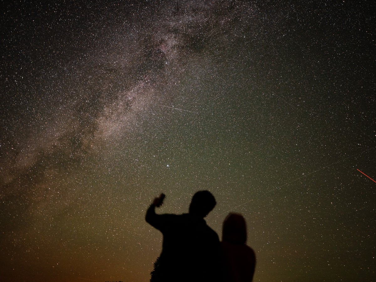 Cientistas revelam nova teoria sobre por que existimos
