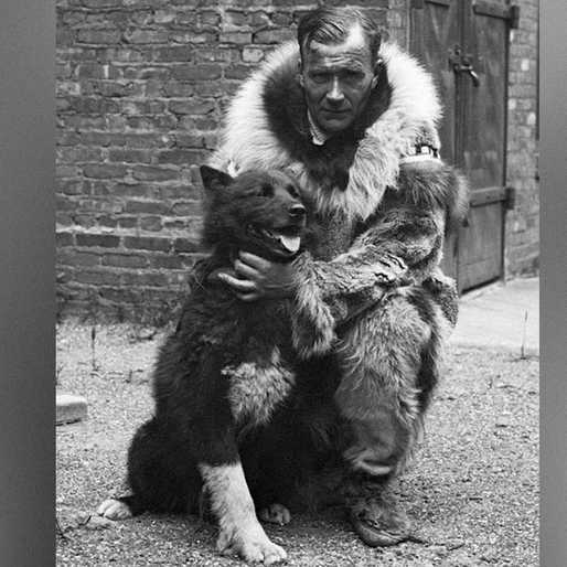 A good dog with great genes: 1920s Alaska sled-relay hero Balto