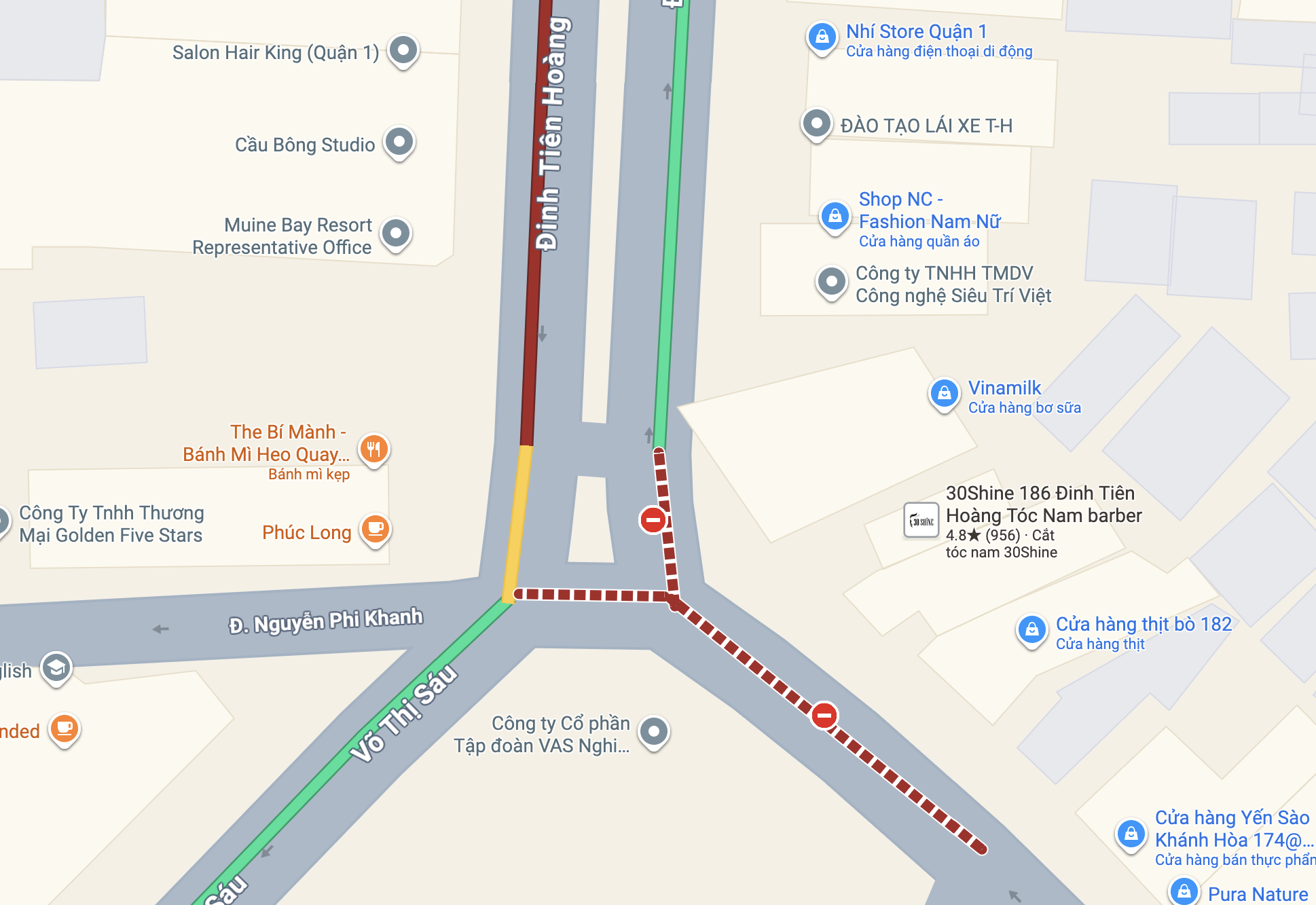 Uma árvore de figo de um prédio tombou e bloqueou a rua Đinh Tiên Hoàng - Võ Thị Sáu, em TP.HCM.