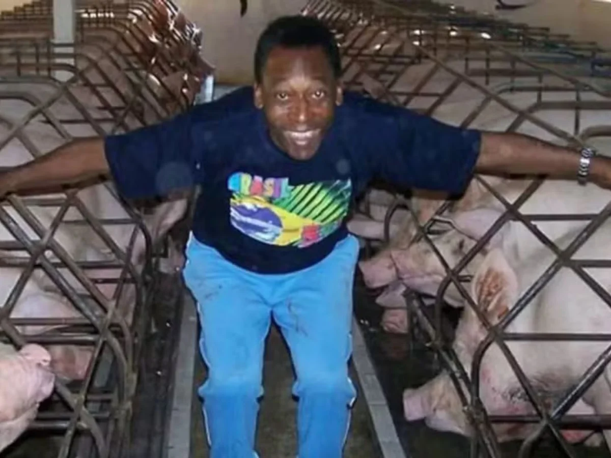 Sítio construído por Pelé foi vendido há mais de um ano. Veja fotos