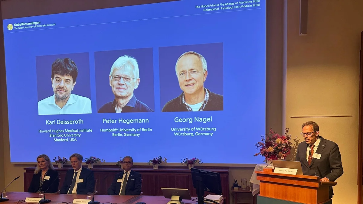 Técnica ganhadora do Prêmio Nobel usa luz para controlar neurônios